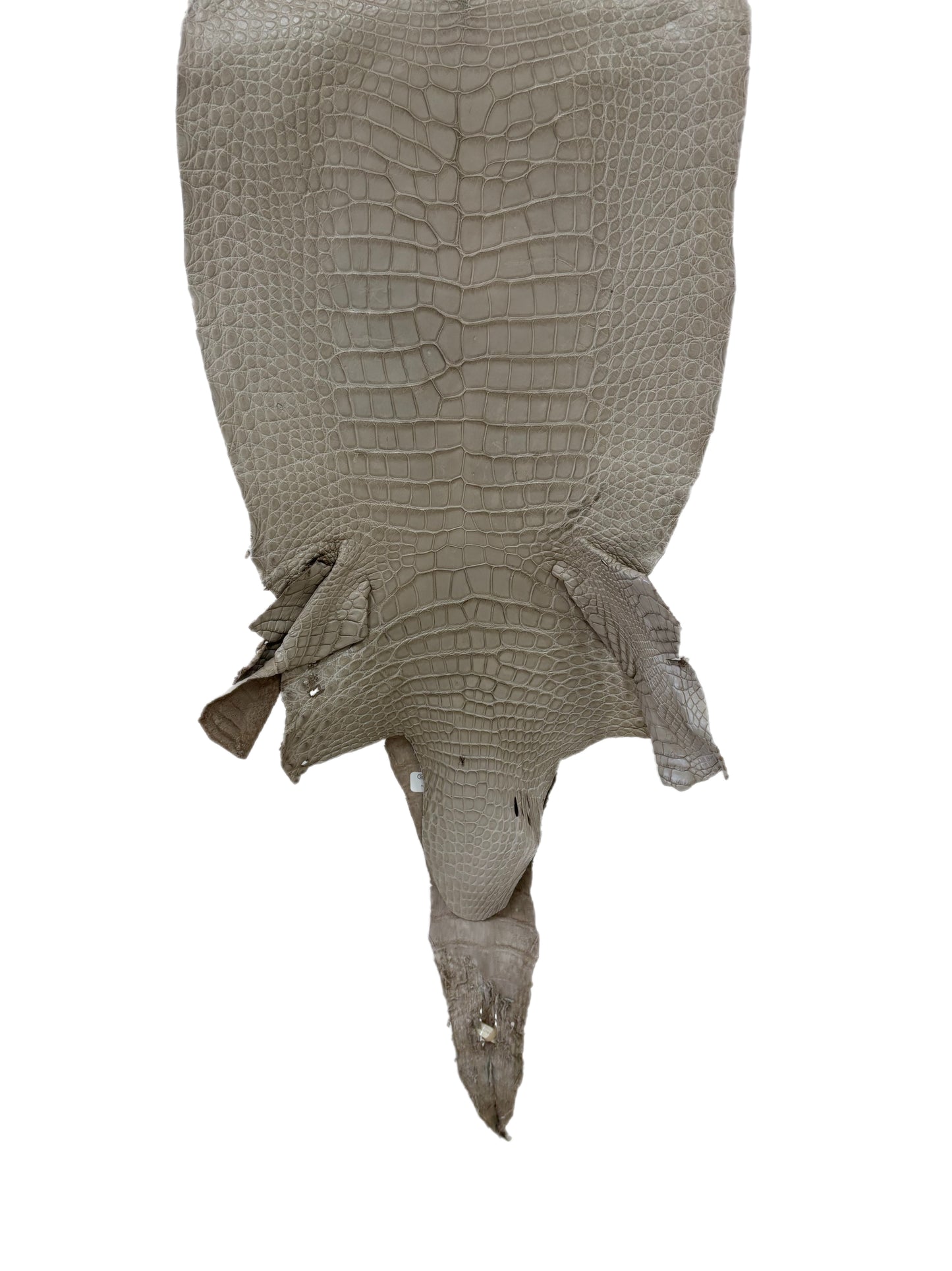 33 cm Grade 3/4 Stormy Matte Wild American Alligator Leather - Tag: LA23-0017686