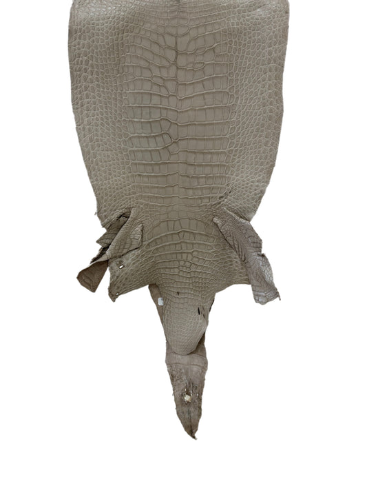 33 cm Grade 3/4 Stormy Matte Wild American Alligator Leather - Tag: LA23-0017686