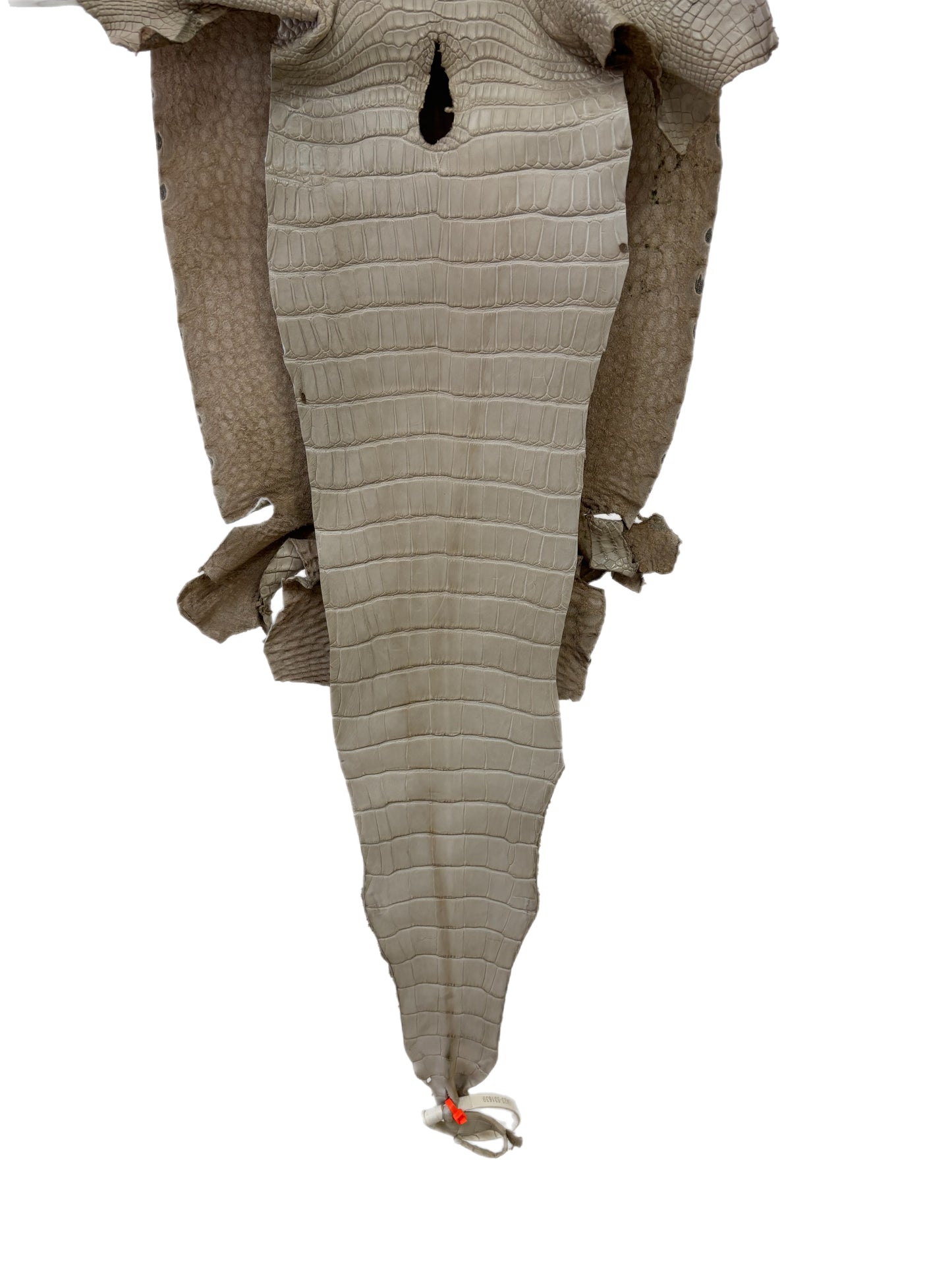 31 cm Grade 2/3 Stormy Matte Farm-Raised American Alligator Leather - Tag: LA23-0531639