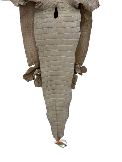 31 cm Grade 2/3 Stormy Matte Farm-Raised American Alligator Leather - Tag: LA23-0531639