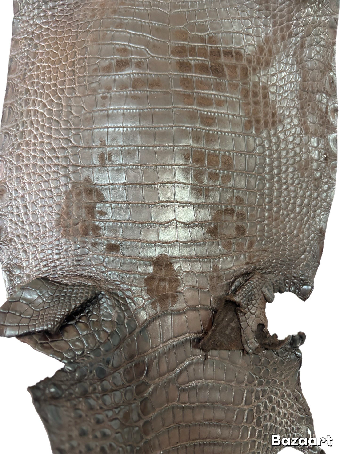 CLOSEOUT | 23 cm Grade 4/5 Chocolate Matte Farm Raised American Alligator Leather - Tag: FL22-0030195