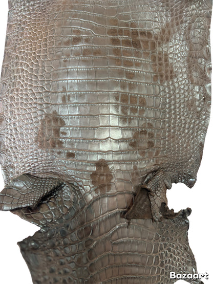 CLOSEOUT | 23 cm Grade 4/5 Chocolate Matte Farm Raised American Alligator Leather - Tag: FL22-0030195