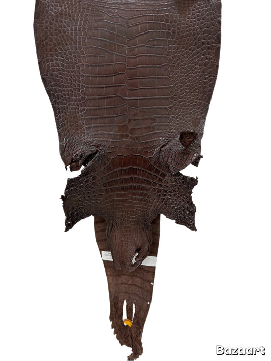 CLOSEOUT | 24 cm Grade 4/5 Chocolate Matte Farm Raised American Alligator Leather - Tag: FL22-0030052
