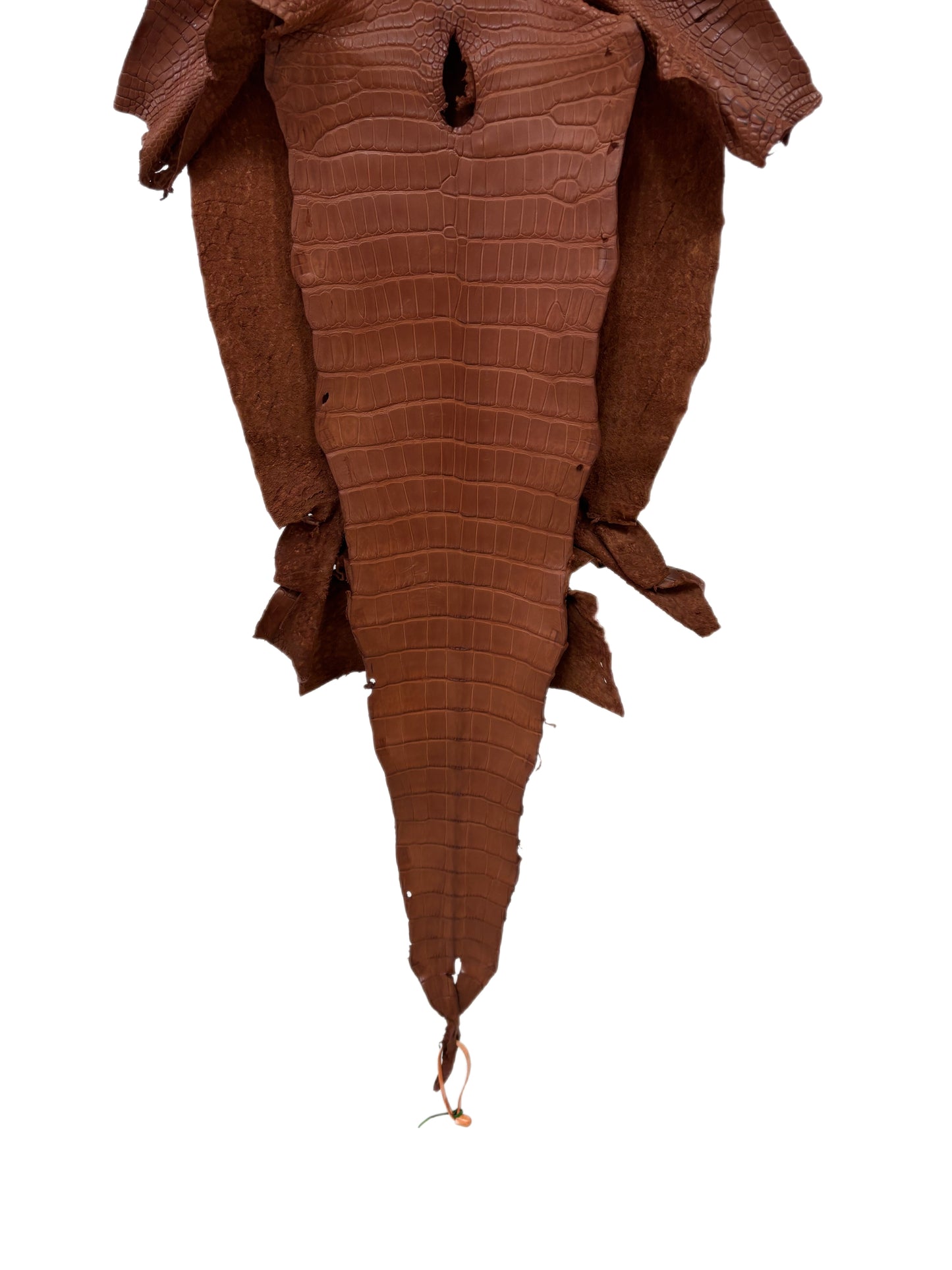38 cm Grade 2/3 Rustic Cognac Matte Wild American Alligator Leather - Tag: LA18-0038633