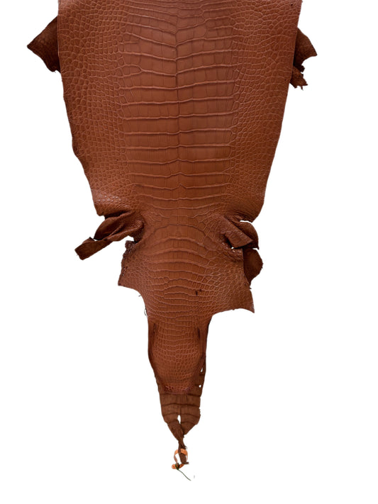 38 cm Grade 2/3 Rustic Cognac Matte Wild American Alligator Leather - Tag: LA18-0038633