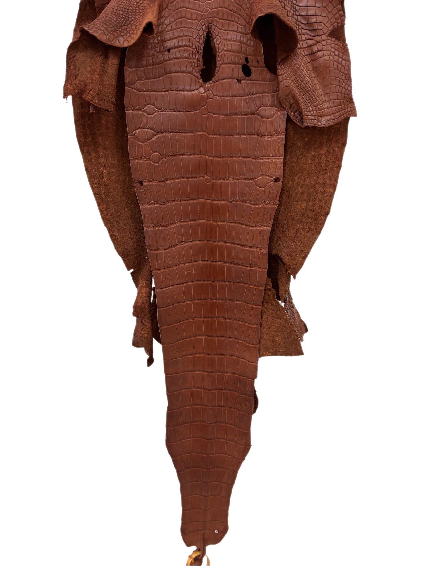 39 cm Grade 4/5 Rustic Cognac Matte Wild American Alligator Leather - Tag: LA23-0014418