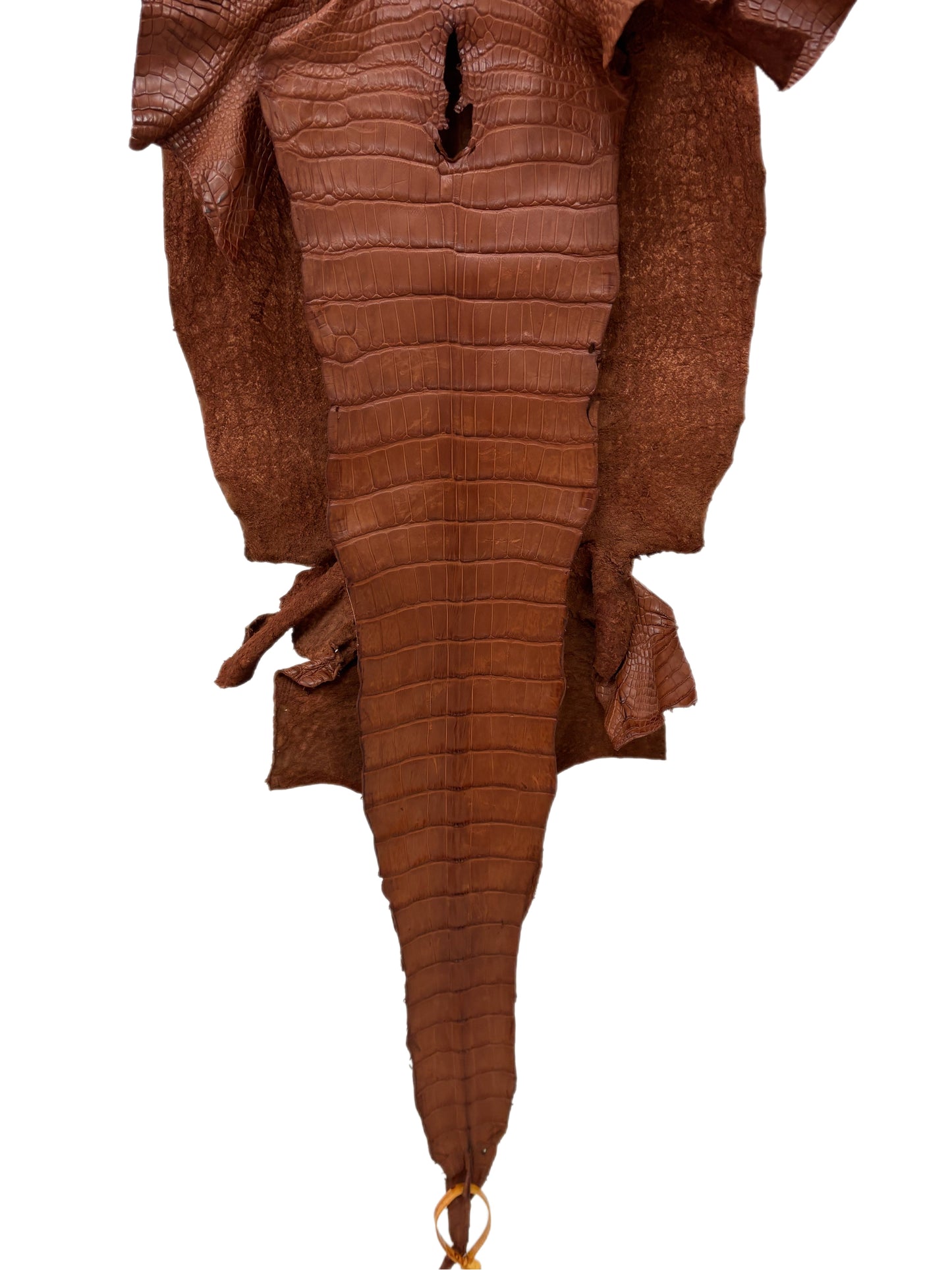 37 cm Grade 3/4 Rustic Cognac Matte Wild American Alligator Leather - Tag: LA16-0038531