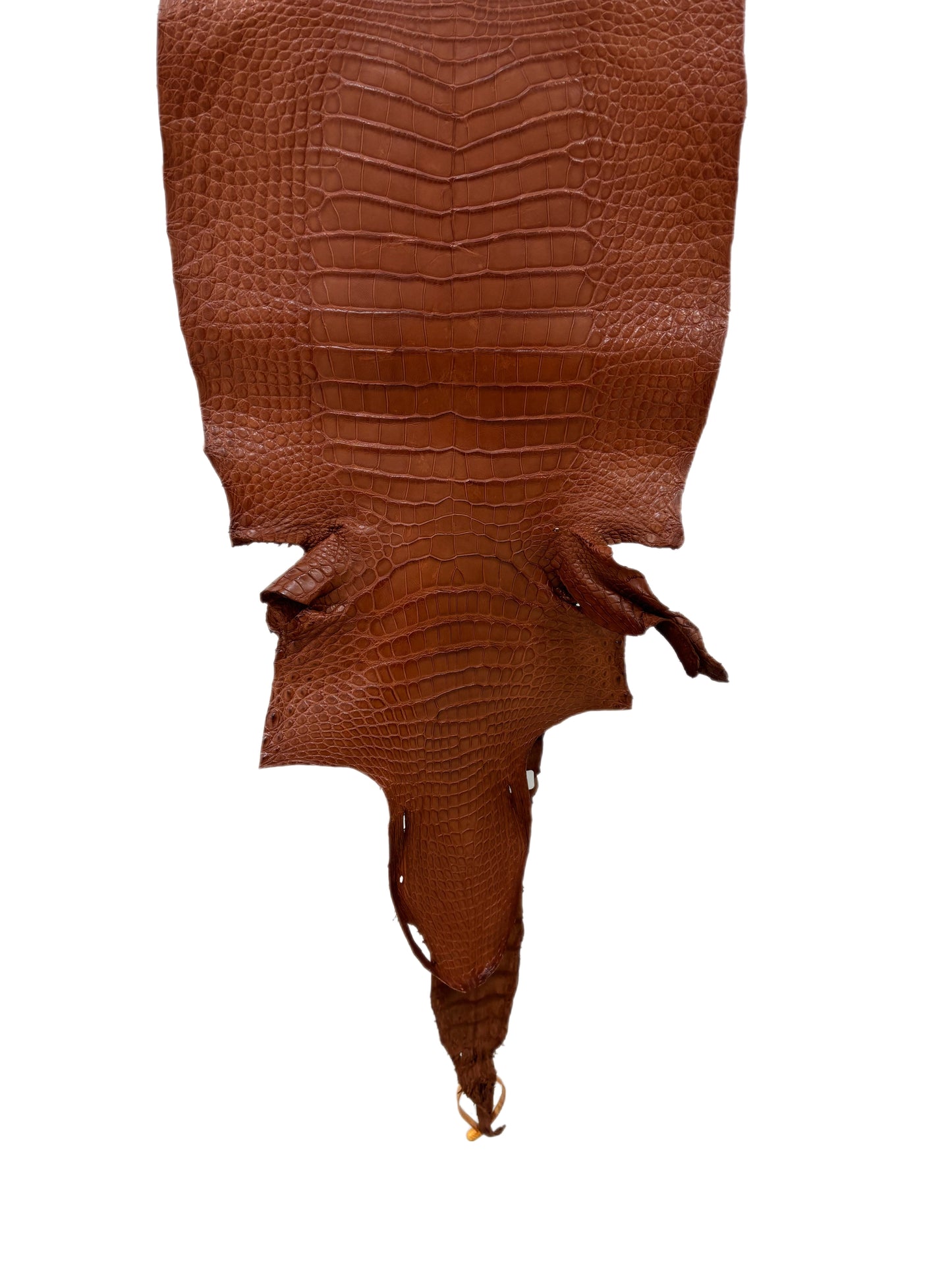 37 cm Grade 3/4 Rustic Cognac Matte Wild American Alligator Leather - Tag: LA16-0038531