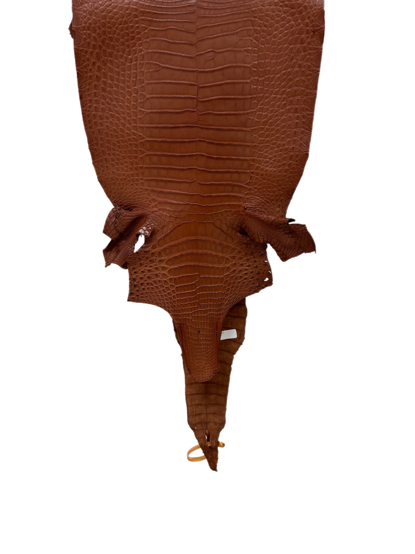 34 cm Grade 2/3 Rustic Cognac Matte Farm-Raised American Alligator Leather - Tag: FL17-0035901