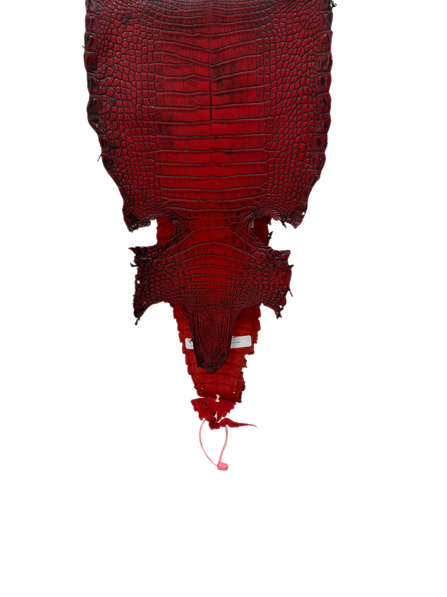 26 cm Grade 1/2 Candy Apple Red Antique Farm-raised American Alligator Leather - Tag: FL21-0024819