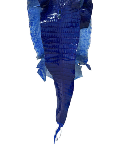 29 cm Grade 1/2 Electric Blue Glazed Wild American Alligator Leather - Tag: LA17-0034110