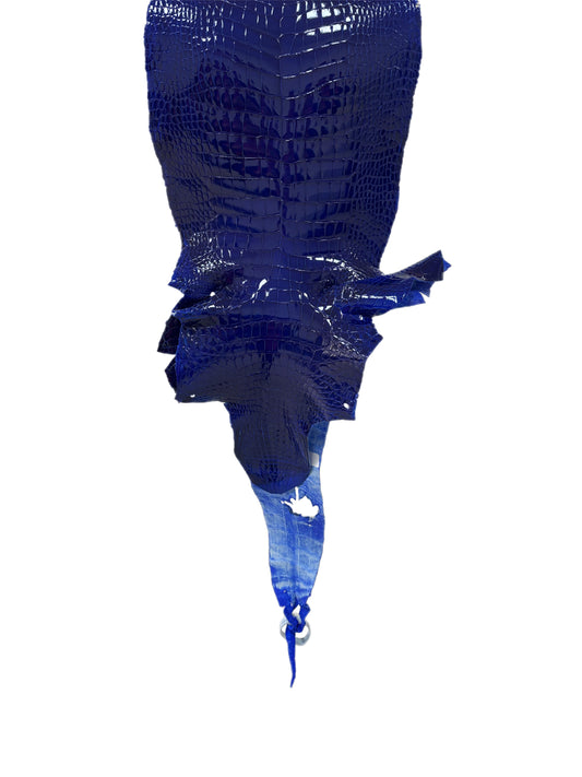 23 cm Grade 1/2 Electric Blue Glazed Wild American Alligator Leather - Tag: LA23-0002052