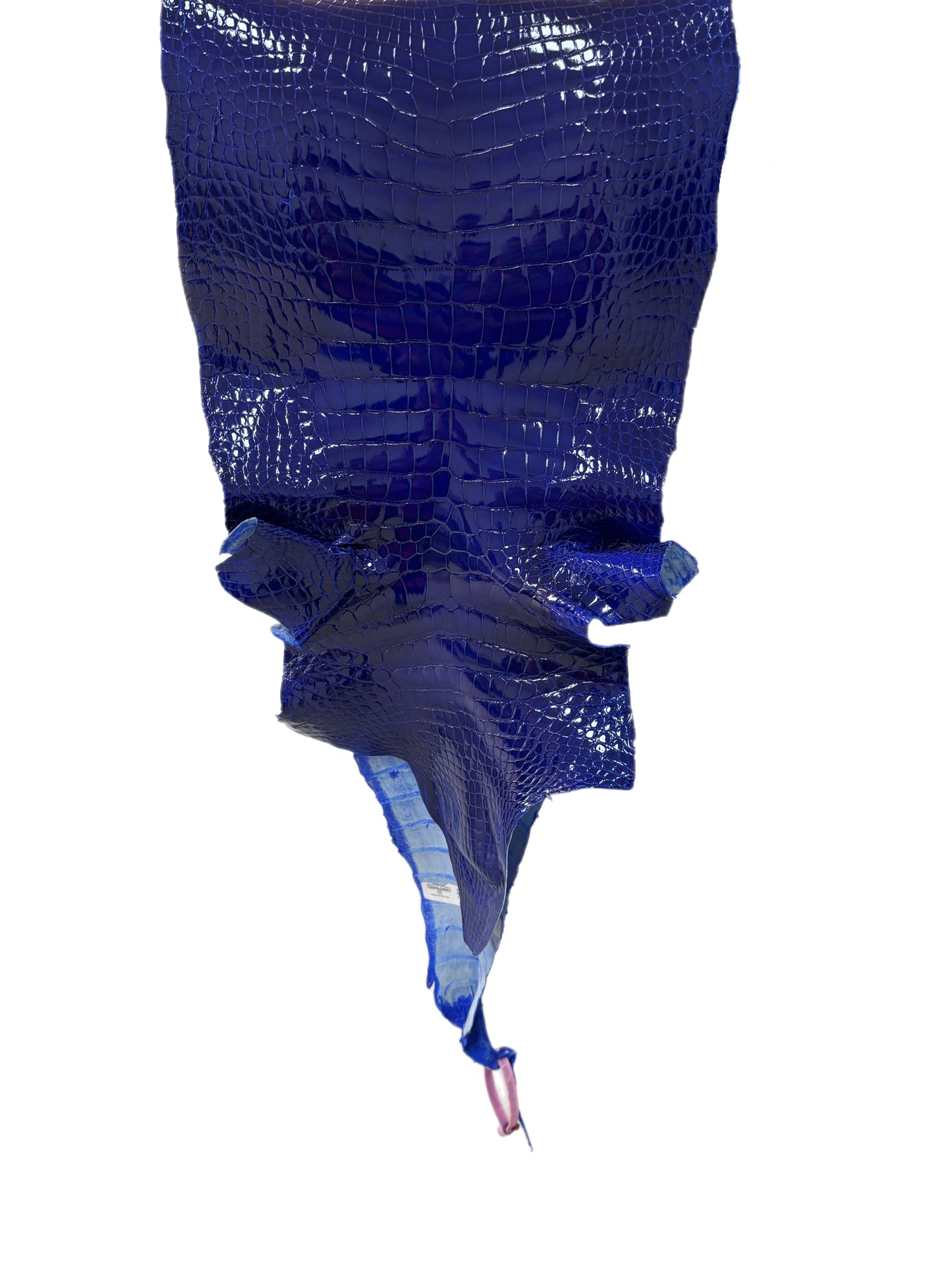 33 cm Grade 2/3 Electric Blue Glazed Wild American Alligator Leather - Tag: MS22-0001789