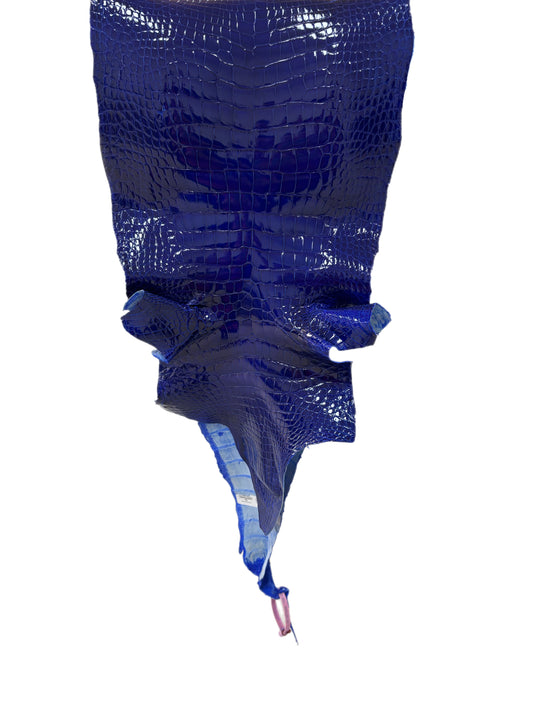 33 cm Grade 2/3 Electric Blue Glazed Wild American Alligator Leather - Tag: MS22-0001789