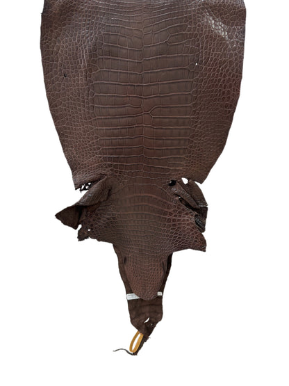 43 cm Grade 2/3 Chocolate Matte Wild American Alligator Leather - Tag: LA23-0003638