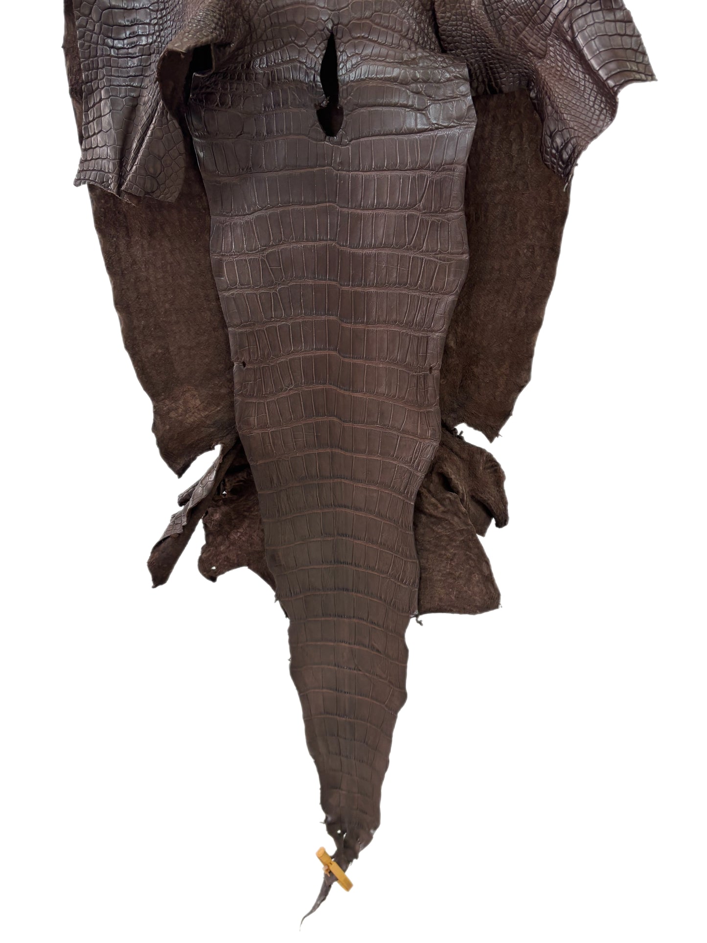 42 cm Grade 3/4 Chocolate Matte Wild American Alligator Leather - Tag: LA23-0003705