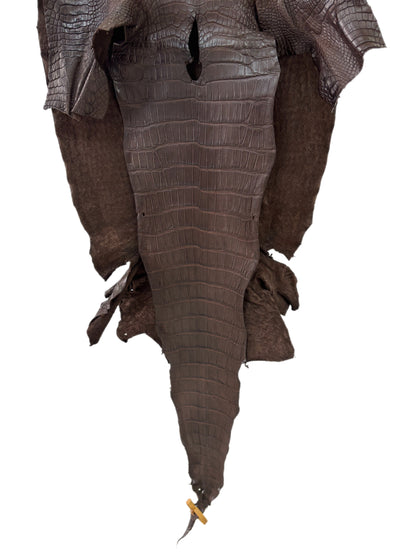 42 cm Grade 3/4 Chocolate Matte Wild American Alligator Leather - Tag: LA23-0003705