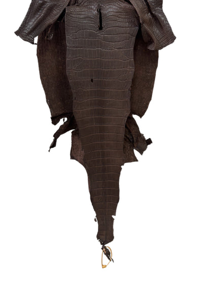 38 cm Grade 2/3 Chocolate Matte Wild American Alligator Leather - Tag: LA23-0015056