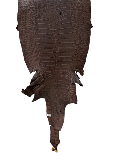 38 cm Grade 2/3 Chocolate Matte Wild American Alligator Leather - Tag: LA23-0015056