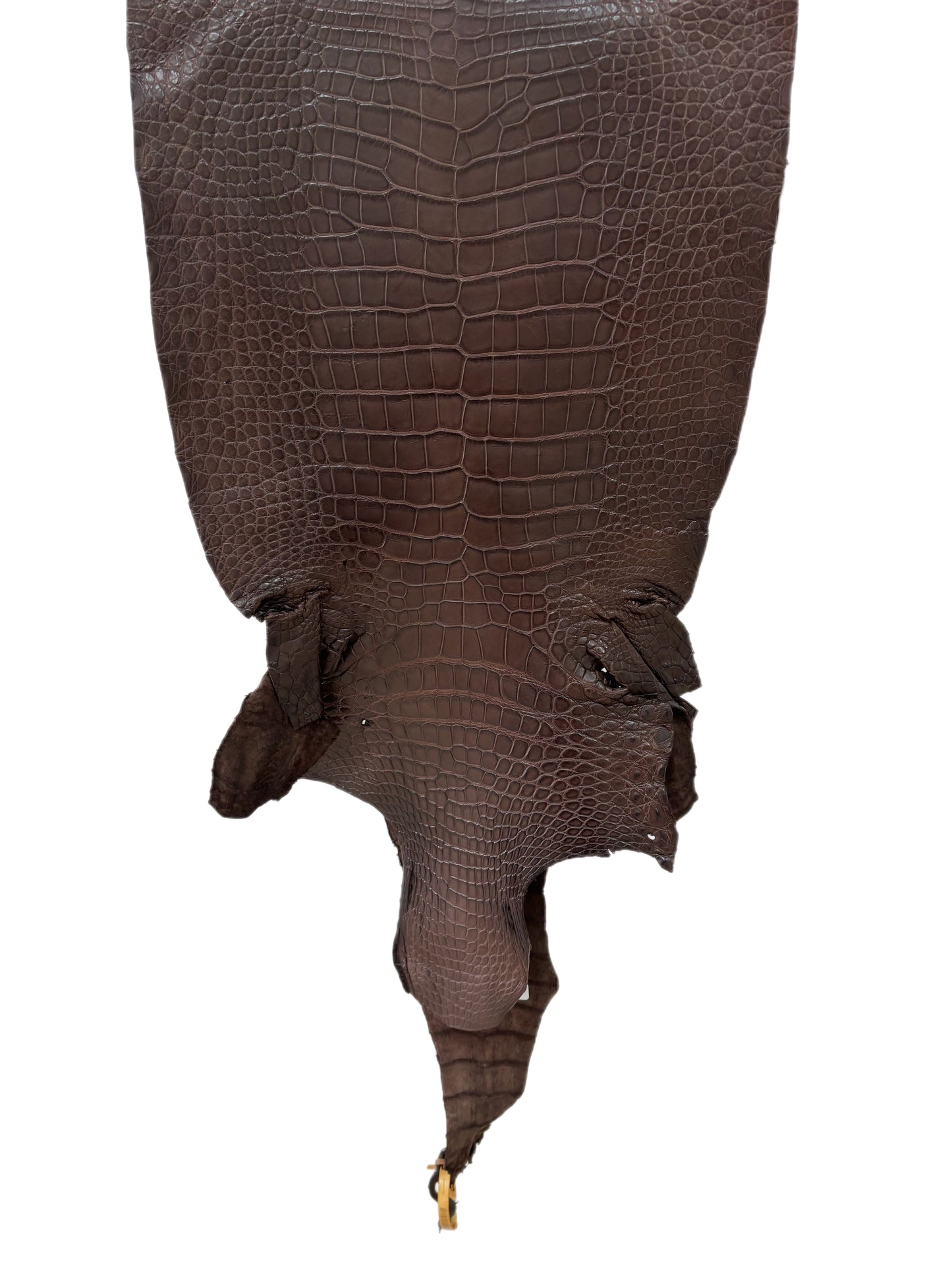 39 cm Grade 2/3 Chocolate Matte Wild American Alligator Leather - Tag: LA23-0028494
