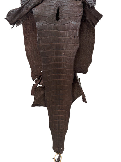 37 cm Grade 4/5 Chocolate Matte Wild American Alligator Leather - Tag: LA23-0033902