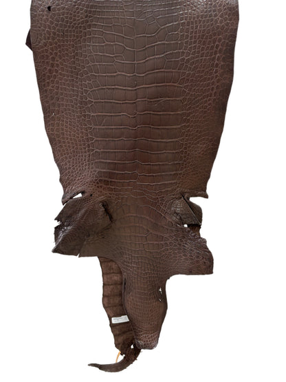 40 cm Grade 3/4 Chocolate Matte Wild American Alligator Leather - Tag: LA23-0039036