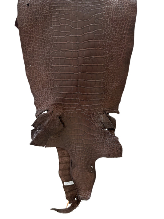 40 cm Grade 3/4 Chocolate Matte Wild American Alligator Leather - Tag: LA23-0039036