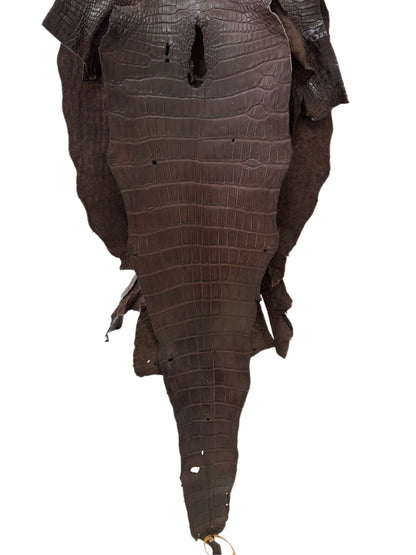 41 cm Grade 2/3 Chocolate Matte Wild American Alligator Leather - Tag: LA23-0003182
