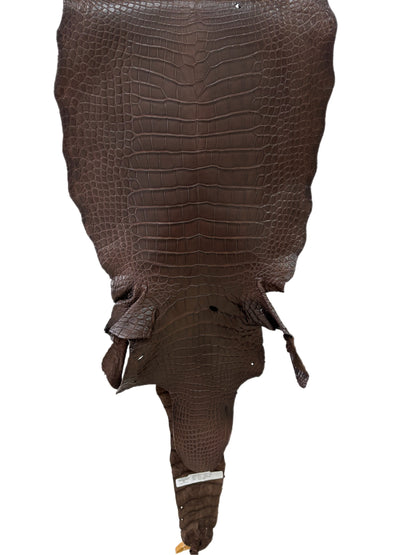 41 cm Grade 2/3 Chocolate Matte Wild American Alligator Leather - Tag: LA23-0003182