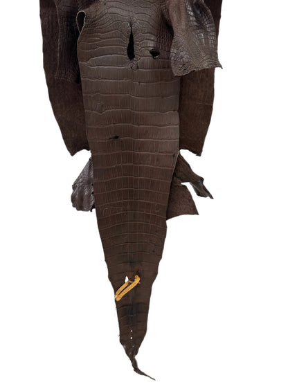 39 cm Grade 3/4 Chocolate Matte Wild American Alligator Leather - Tag: LA23-0035636
