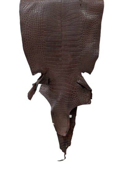 39 cm Grade 3/4 Chocolate Matte Wild American Alligator Leather - Tag: LA23-0035636