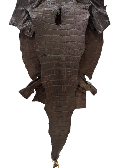 43 cm Grade 3/4 Chocolate Matte Farm-Raised American Alligator Leather - Tag: LA23-0017483