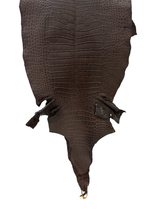 43 cm Grade 3/4 Chocolate Matte Farm-Raised American Alligator Leather - Tag: LA23-0017483