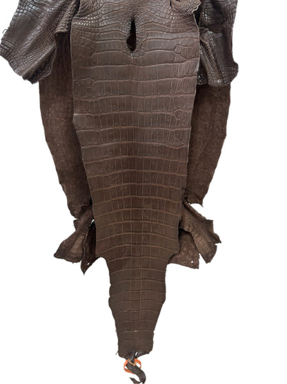 43 cm Grade 3/4 Chocolate Matte Wild American Alligator Leather - Tag: LA24-0022420