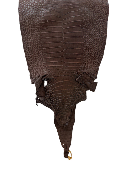 31 cm Grade 3/4 Chocolate Matte Farm-Raised American Alligator Leather - Tag: FL17-0035525
