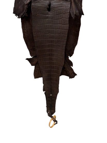 28 cm Grade 1/2 Chocolate Matte Wild American Alligator Leather - Tag: LA23-0047013