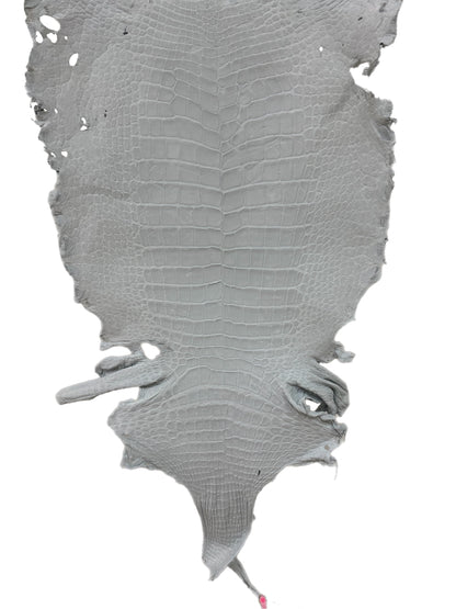 49 cm Grade 4/5 White Crust Wild American Alligator Leather - Tag: LA24-0017454