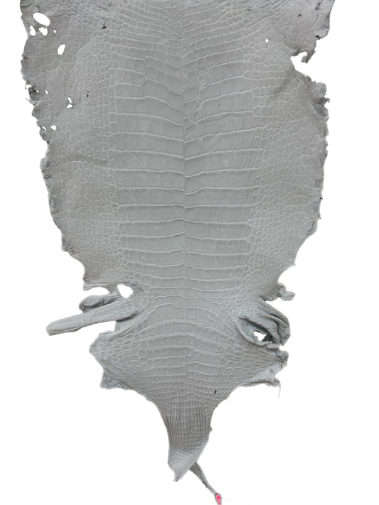 49 cm Grade 4/5 White Crust Wild American Alligator Leather - Tag: LA24-0017454