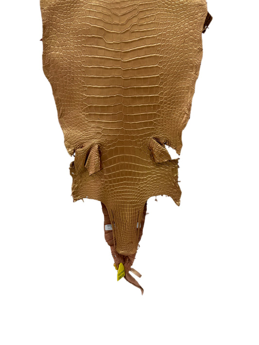 33 cm Grade 2/3 Champagne Metallic Matte Wild American Alligator Leather - Tag: LA17-0034113