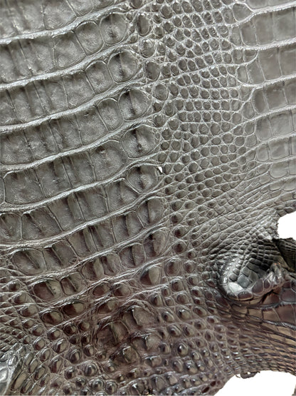 36 cm Grade 2/3 Serpentine Grey Matte Farm-Raised American Alligator Leather - Tag: LA23-0377037