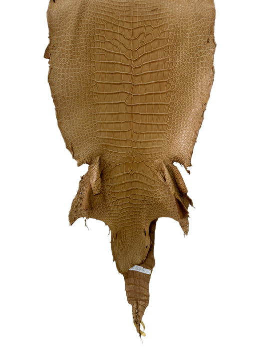 39 cm Grade 3/4 Antique Saddle Matte Wild American Alligator Leather - Tag: LA16-0036649