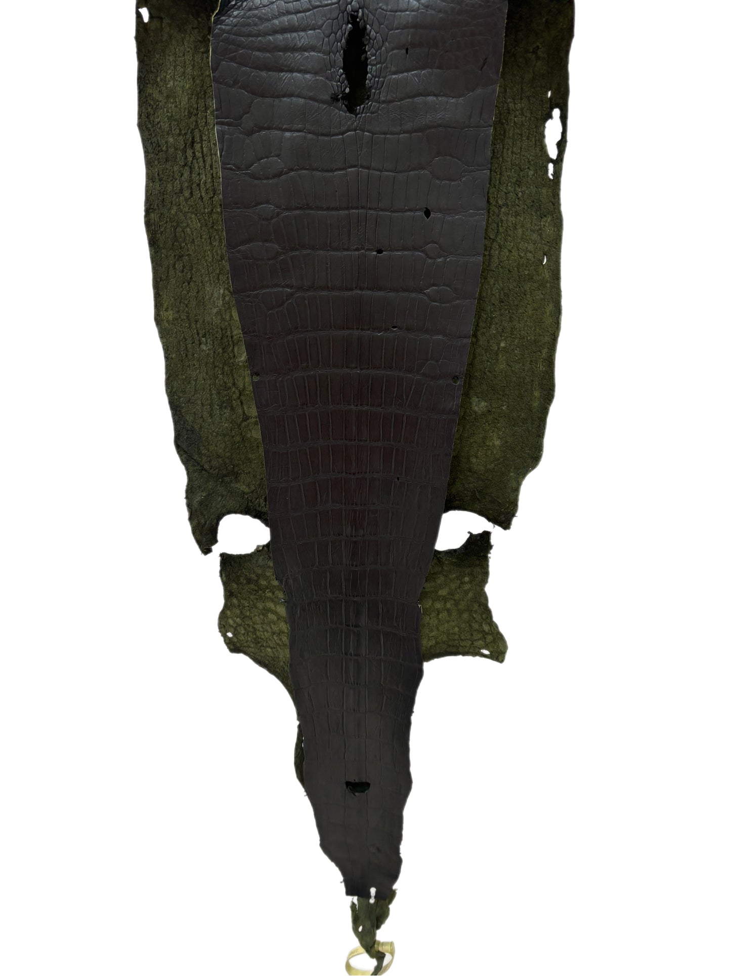 36 cm Grade 3/4 Olive Antique Wild American Alligator Leather - Tag: LA23-0004372