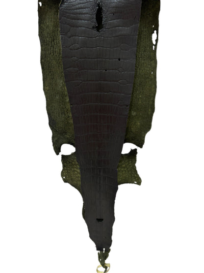 36 cm Grade 3/4 Olive Antique Wild American Alligator Leather - Tag: LA23-0004372