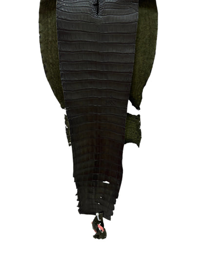 30 cm Grade 2/3 Olive Antique Farm-Raised American Alligator Leather - Tag: FL21-0024415