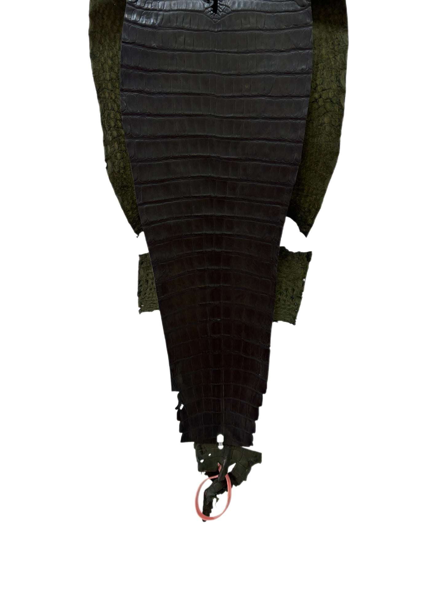 27 cm Grade 2/3 Olive Antique Farm-Raised American Alligator Leather - Tag: FL21-0024618