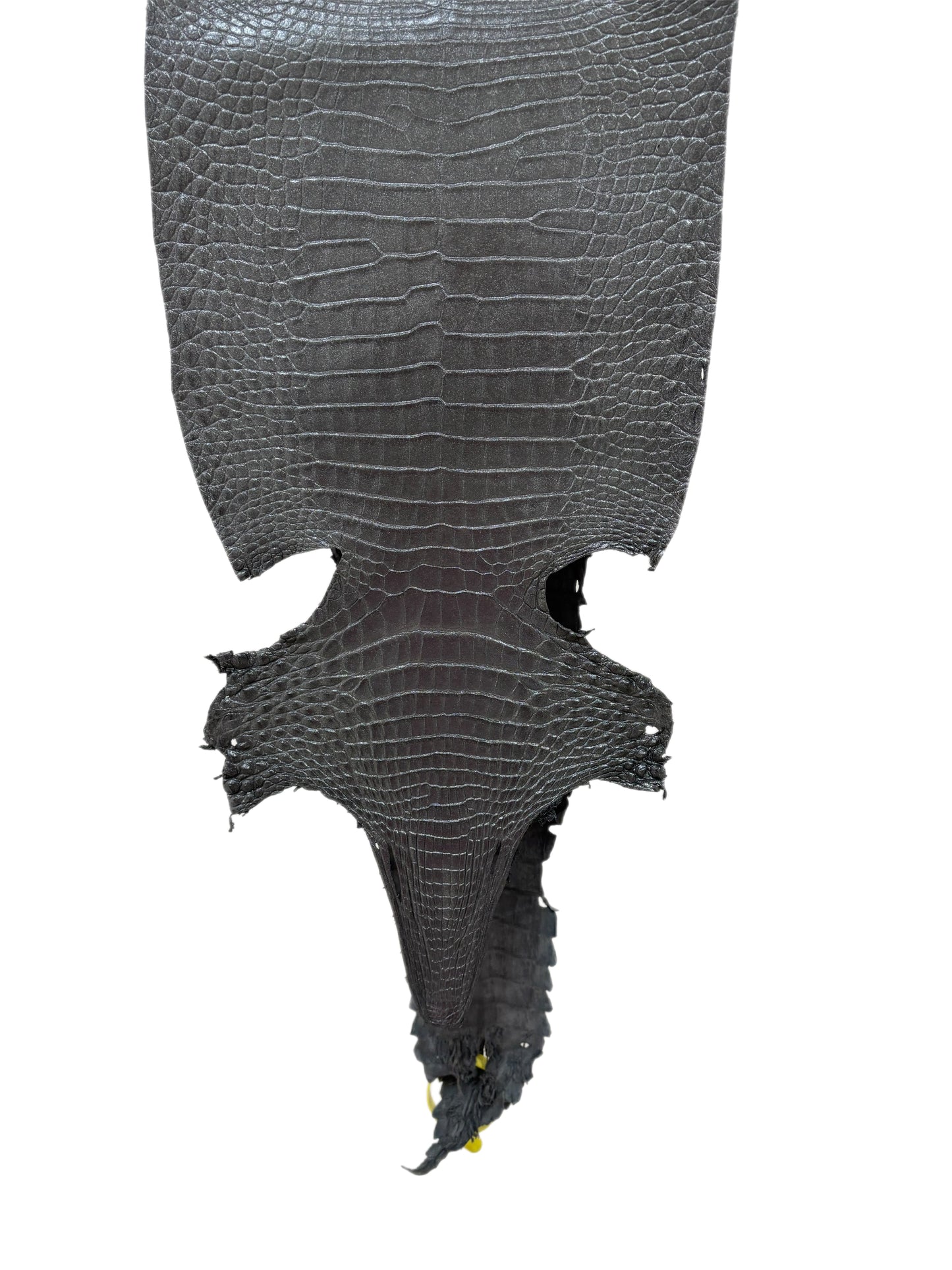 26 cm Grade 1/2 Gunmetal Matte Farm-Raised American Alligator Leather - Tag: FL22-0030355