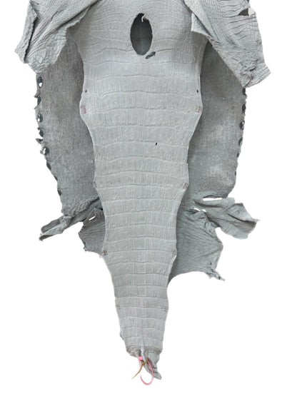 50 cm Grade 4/5 White Crust Wild American Alligator Leather - Tag: LA24-0022117