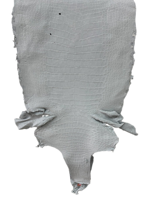 50 cm Grade 4/5 White Crust Wild American Alligator Leather - Tag: LA24-0022117
