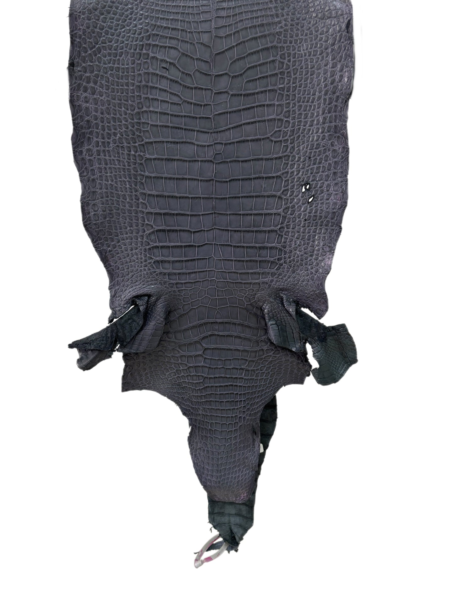 34 cm Grade 3/4 Grey Matte Wild American Alligator Leather - Tag: LA23-0001441