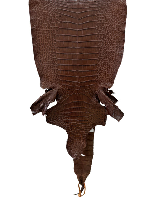 31 cm Grade 1/2 Chocolate Matte Farm-Raised American Alligator Leather - Tag: FL17-0036829